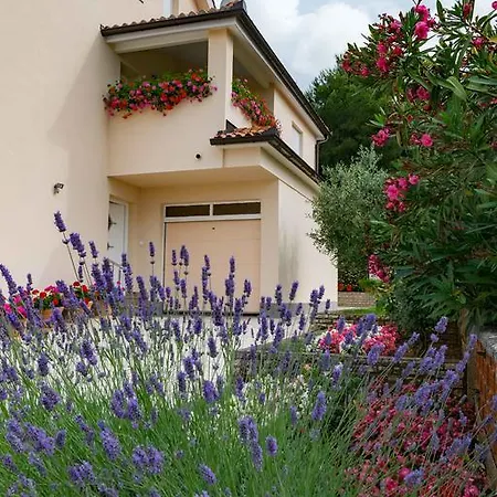Appartement Hortensia