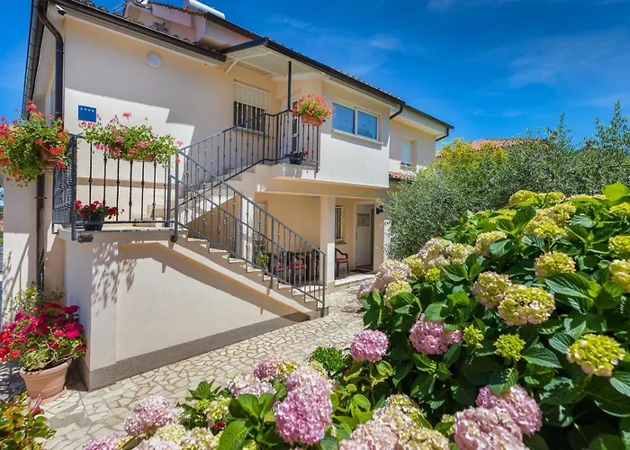 Daire Hortensia Pula