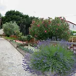 Hortensia Pula