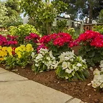Daire Hortensia Pula