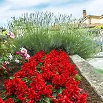 Daire Hortensia Pula