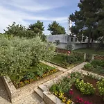 Hortensia * Pula