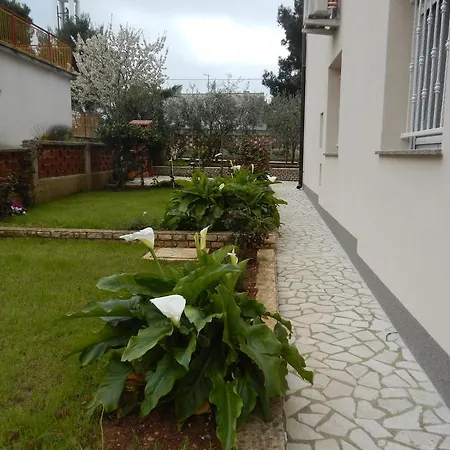 Hortensia Пула
